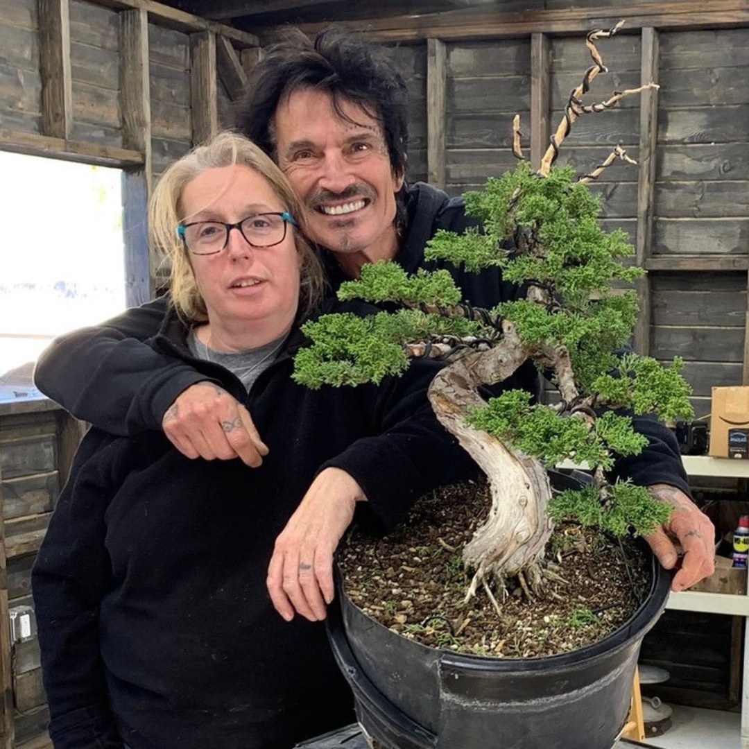 tommy-lee-121-caz-bonzai